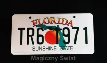 TABLICA REJESTRACYJNA-FLORIDA