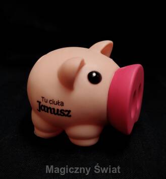 Skarbonka Piggy- "Tu ciuła Janusz"